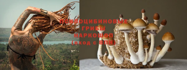 эйфоретик Ельня
