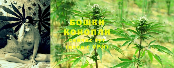 эйфоретик Ельня