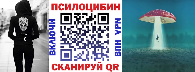 Галлюциногенные грибы Magic Shrooms  Купить  Сковородино 