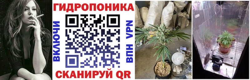 Бошки Шишки THC 21% Купить Сковородино